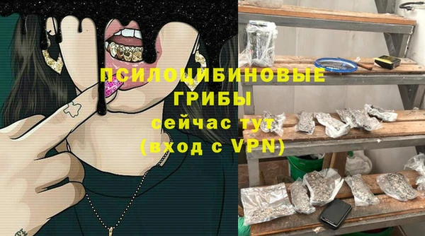 a pvp Алзамай