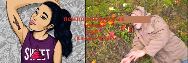 ECSTASY Пролетарск