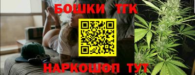 индика Тулун