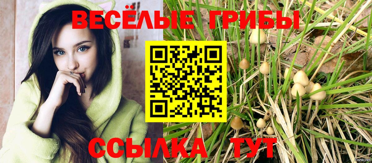 Псилоцибиновые грибы GOLDEN TEACHER  Вход с VPN  Усть-Лабинск  Галлюциногенные грибы Magic Shrooms 
